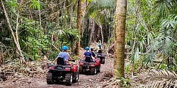 Things To Do In Belize Rainforest