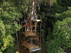 Zipline Near Me