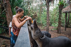 Belize Luxury Resorts For Couples