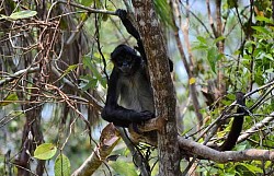 Best resorts in Belize for adults