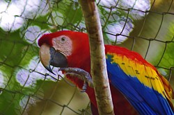 5 Star Resorts In Belize