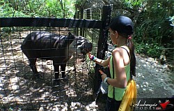 Best resorts in Belize for adults only