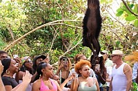 Placencia Belize Luxury Resorts