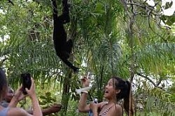 Placencia Belize Luxury Resorts