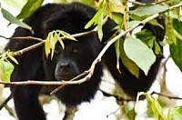 Luxury Hotels In Belize On The Beach