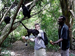 Things To Do In Belize When It Rains - Altun Ha and Baboon Sanctuary