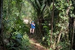 Sweet Songs Jungle Lodge Belize
