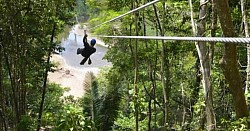Kids Friendly Zipline Near Me