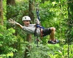 Ziplining Near Me USD$35.00