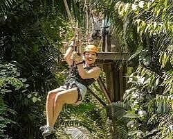 Ziplining Near Me USD$35.00