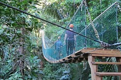 Ziplining San Ignacio