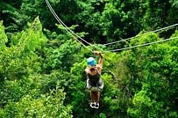 Zipline Belize Rainforest
