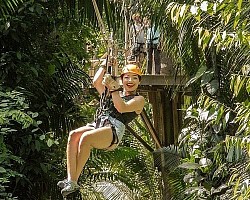 Zipline Belize Rainforest