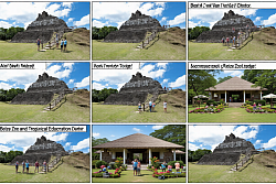 The Belize Zoo and Tropical Education Center La Democracia Photos