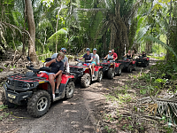 Belize Zoo Tours
